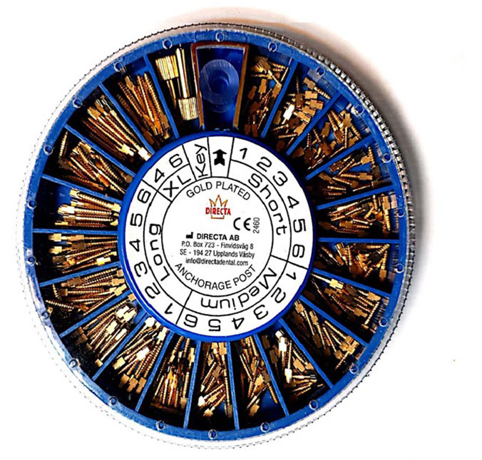 پین گلد تک سایز دایرکتا Directa