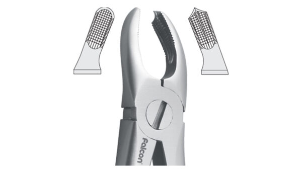 فورسپس مولر بالا راست fig:17 فورسپس مولر بالا راست fig:17