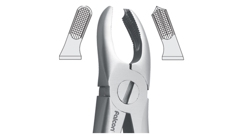 فورسپس آناتومیک مولر بالا راست fig:17