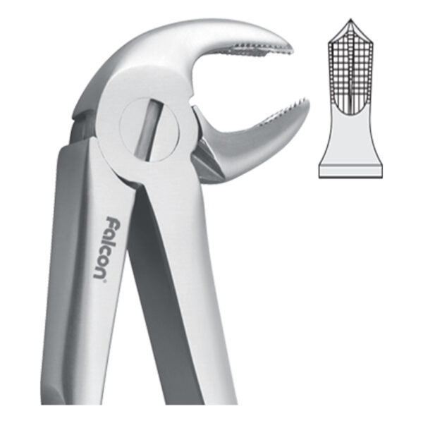 فورسپس مولر پایین fig:22