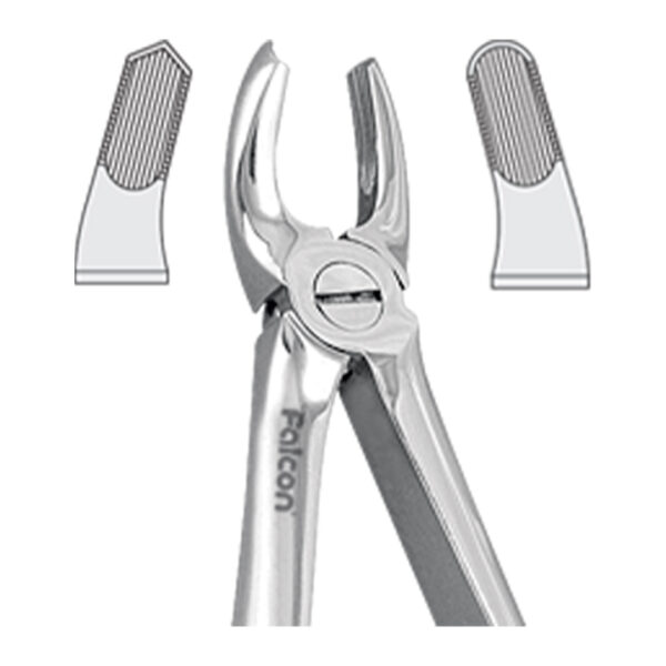 فورسپس مولر بالا راست fig:39R فورسپس مولر بالا راست fig:39R