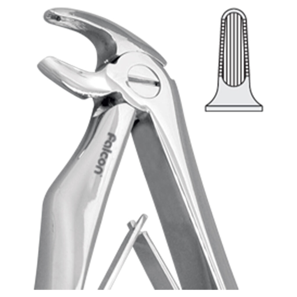 فورسپس پرمولر پایین fig:5