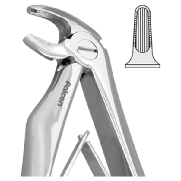 فورسپس پرمولر پایین fig:5