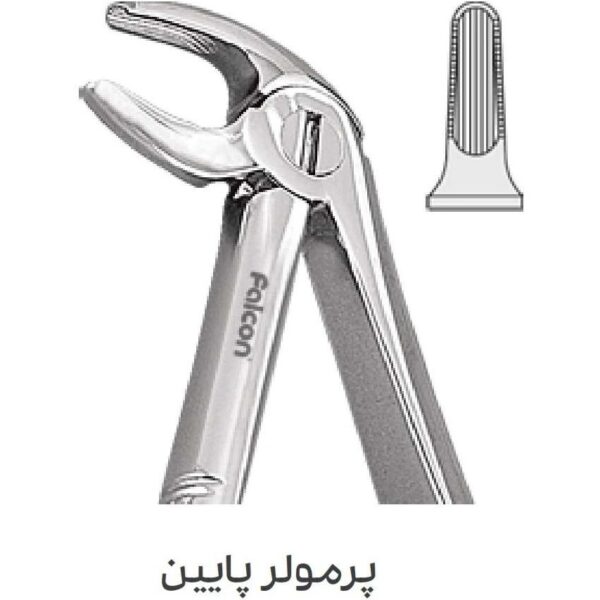 فورسپس پرمولر پایین fig:13S