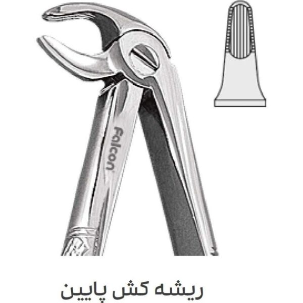 فورسپس ریشه کش پایین fig:33S