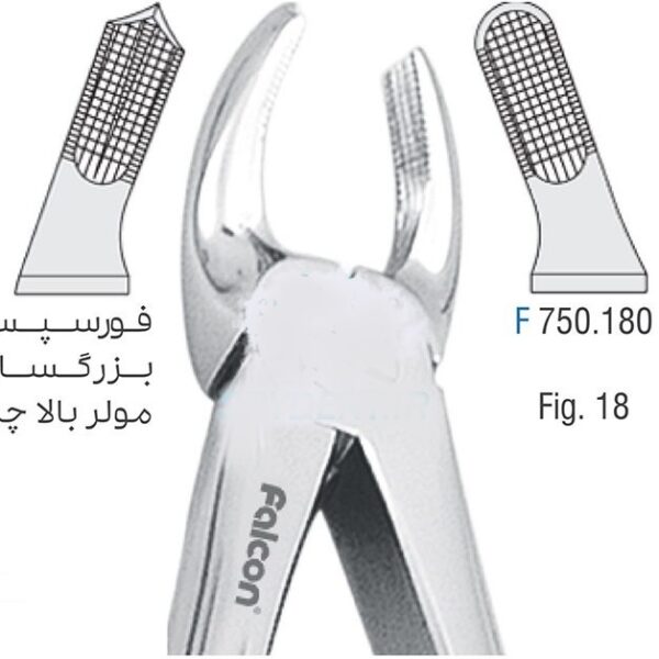 فورسپس مولر بالا چپ fig:18