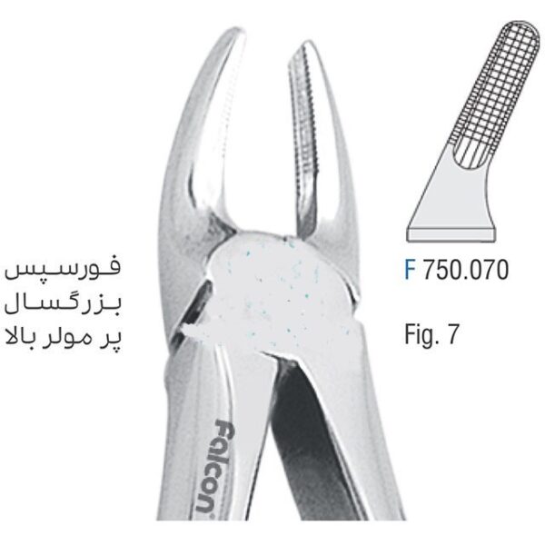فورسپس پرمولر بالا fig: 7
