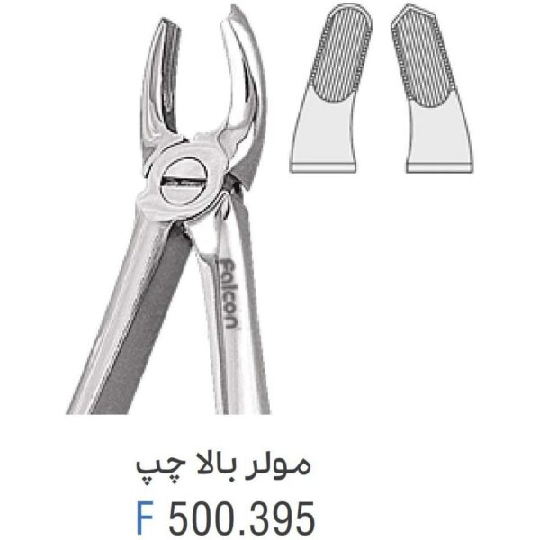 فورسپس مولر بالا چپ fig:39L