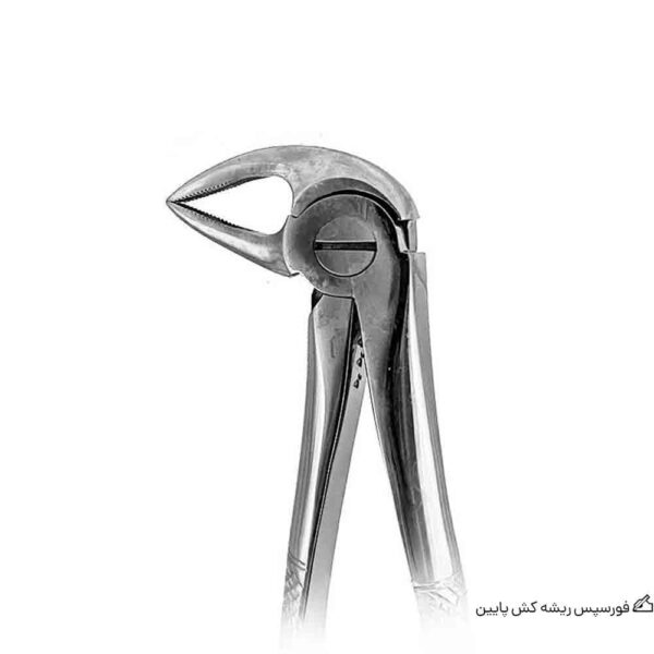 فورسپس آناتومیک ریشه کش پایین fig:33