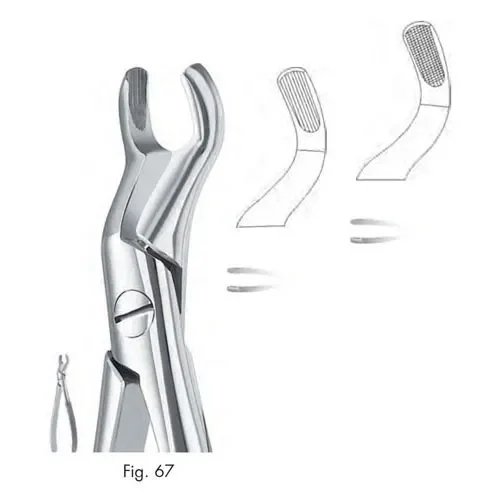خرید فورسپس عقل بالا فالکن fig:67