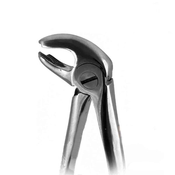 فورسپس مولر پایین fig:6